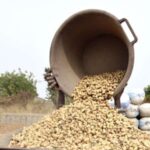 Éducation : le G7 appelle au boycott des évaluations à Ziguinchor
