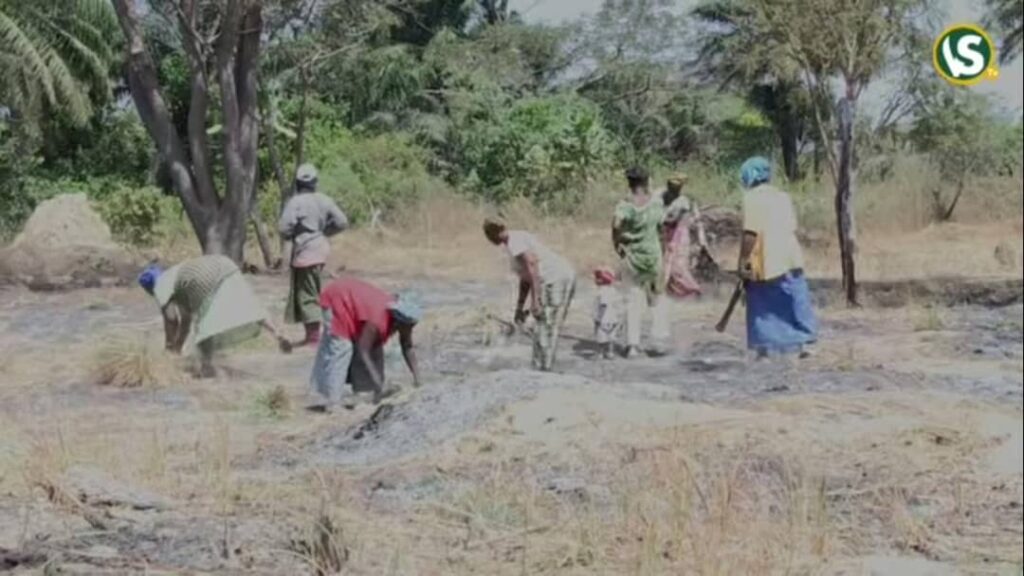 les femmes de Katouré exploitent leurs terres sans soutien