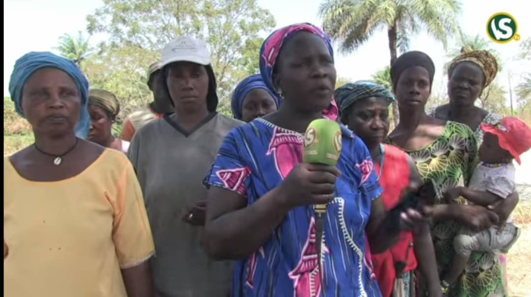 les femmes de Katouré demandent un accompagnement pour cultiver leurs terres au mircro de la Voix du Sud
