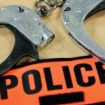 Kaffrine : Deux ans de prison ferme pour deux voleurs de bétail