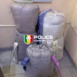 Kolda : le Président Bassirou Diomaye Faye renforce l’offre sanitaire avec un pôle mère-enfant et un SAMU interrégional