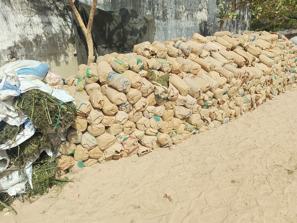 bilan de l'opération ELOL en Casamance